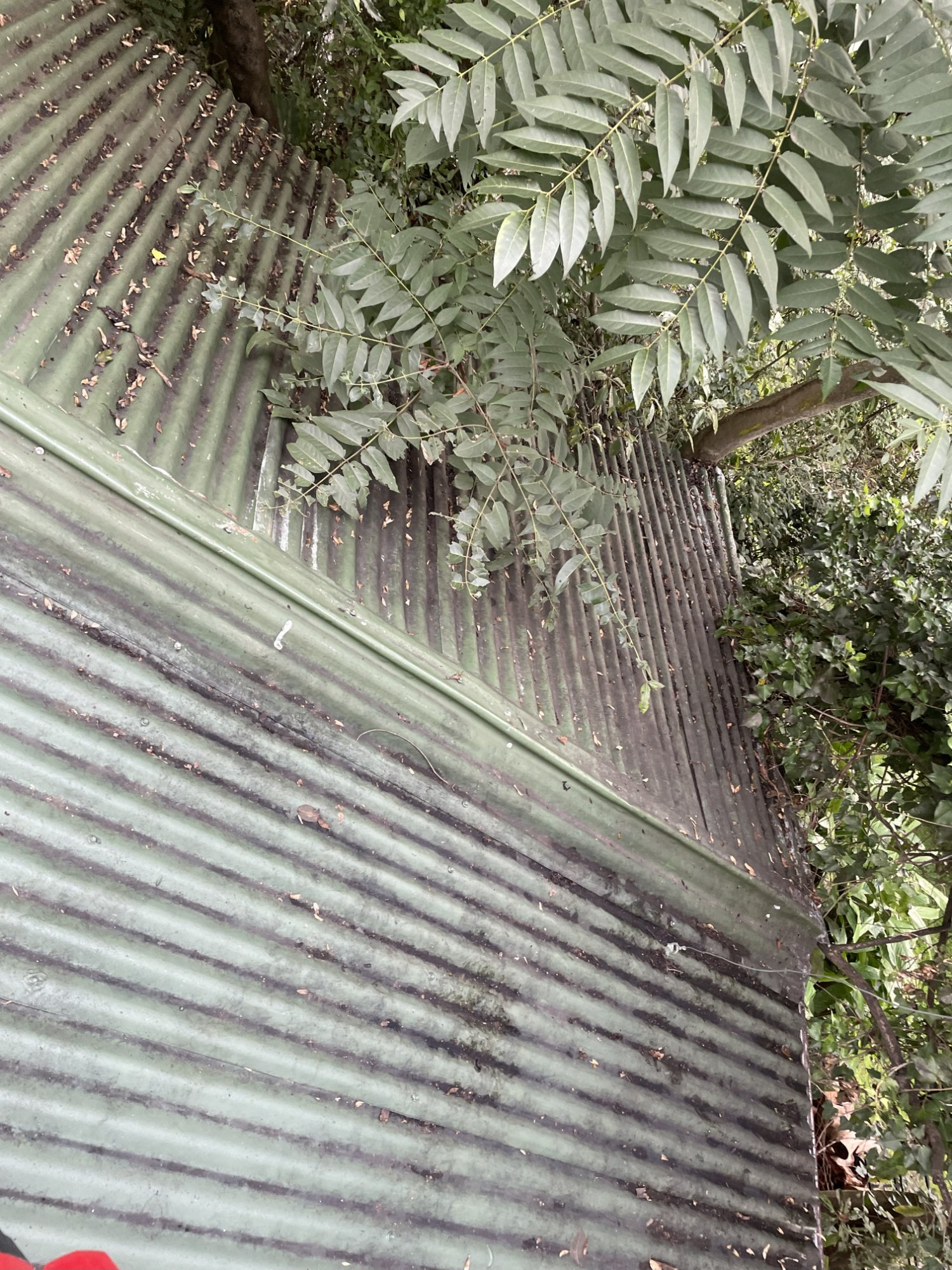 Gutters after cleaning